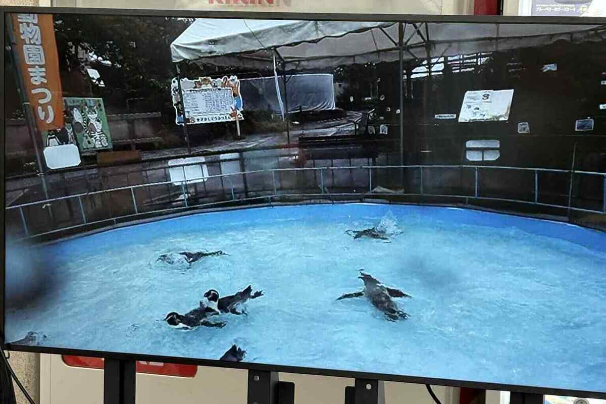 長野県須坂市動物園「秋の動物園まつり」にてデジタルサイネージ活用の実証実験を行いました。